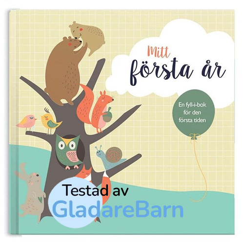 Mitt första år